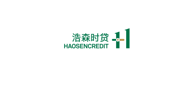 深圳市浩森小額貸款股份有限公司LOGO圖