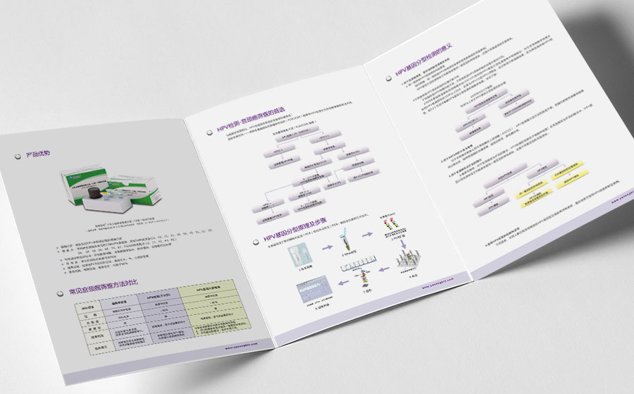 《HPV基因分型檢測-宮頸癌篩查》產(chǎn)品的三折頁
