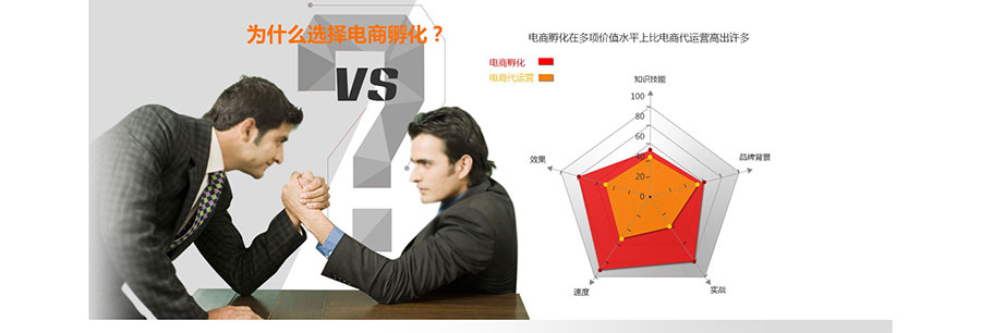 黑眼睛廣告為淘寶大學培訓官網設計的電商孵化板塊